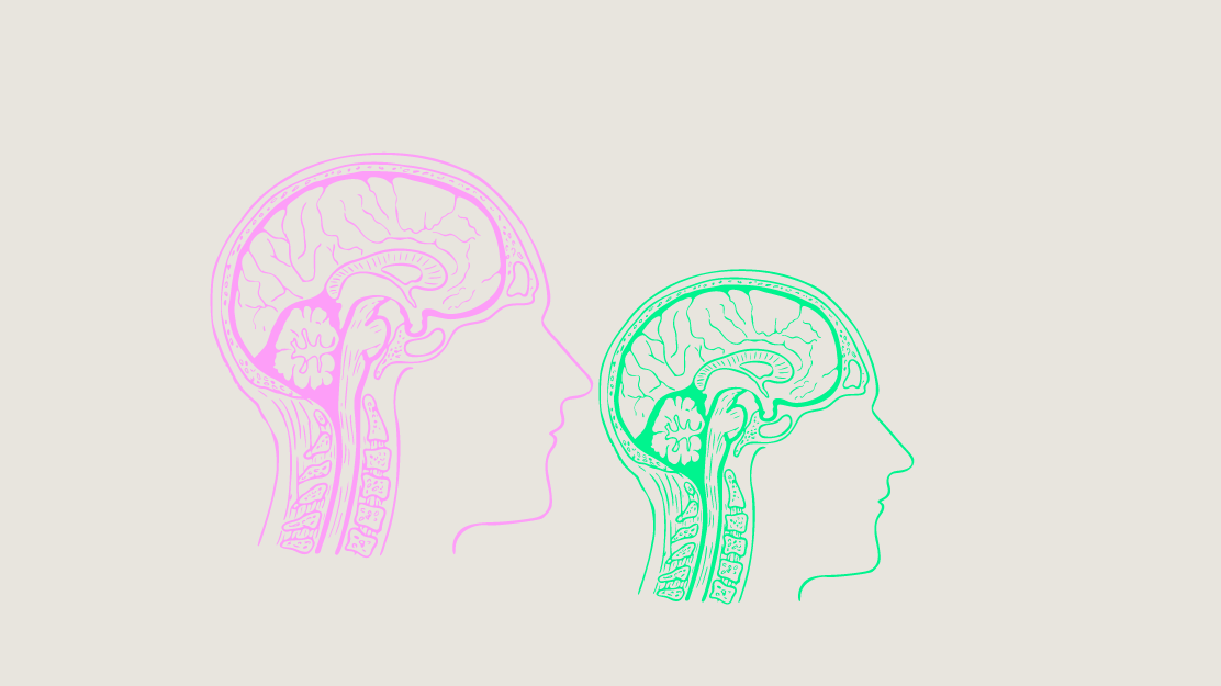 Effects of sugar on the brain