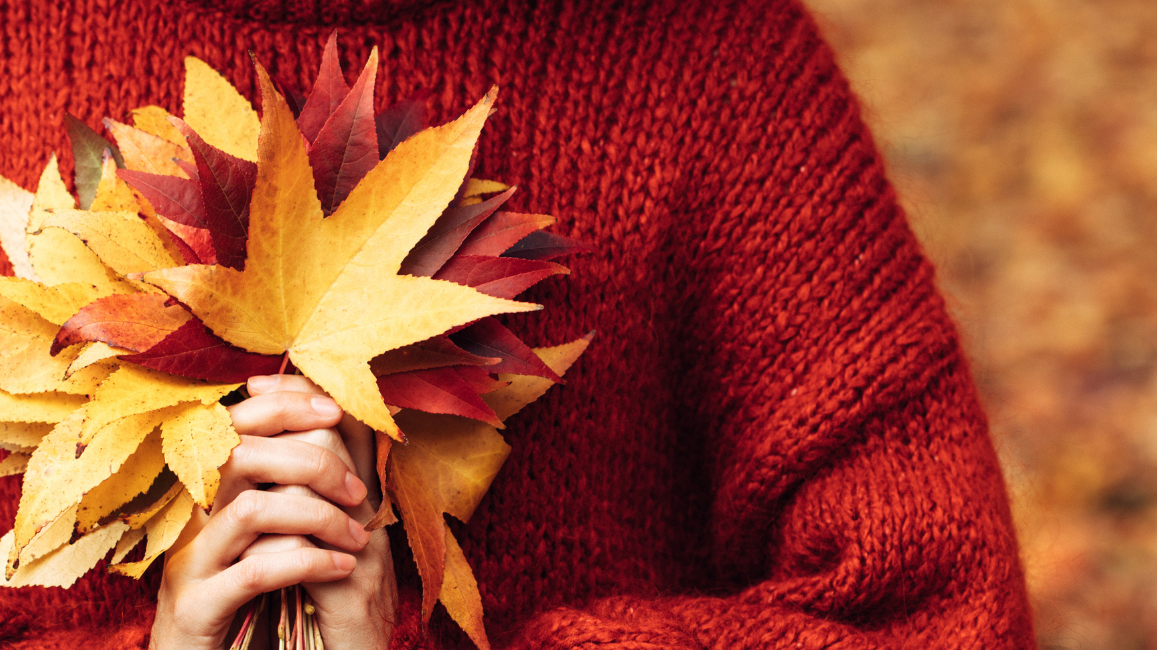 The Winter Arc: strengthen your immunity and wellbeing for the colder months