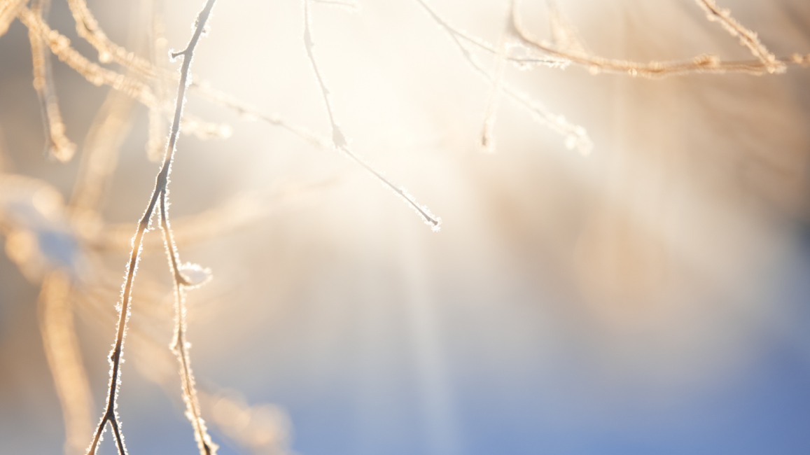 How to Stay Energised This Winter