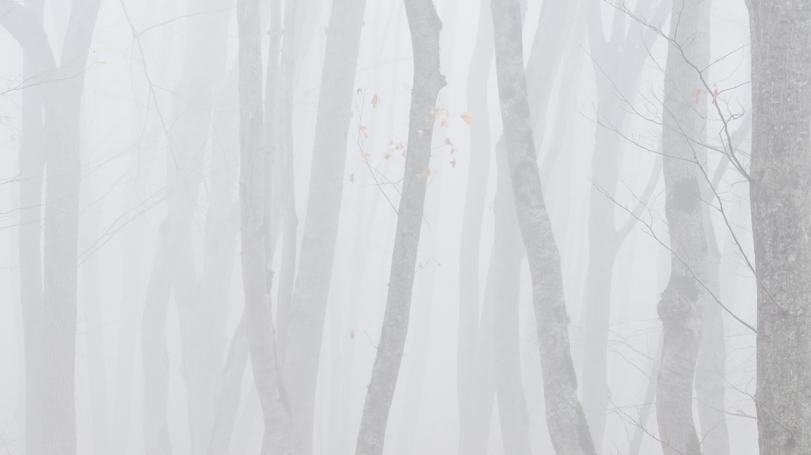 Menopause brain fog: why it happens and how to clear it