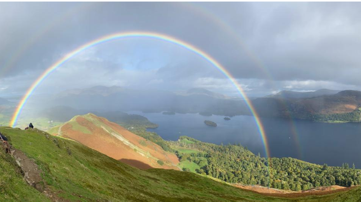 Meet the Team | Carly