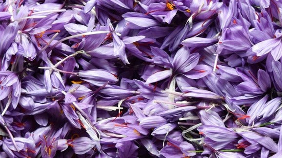 Saffron — Add more spice to your life