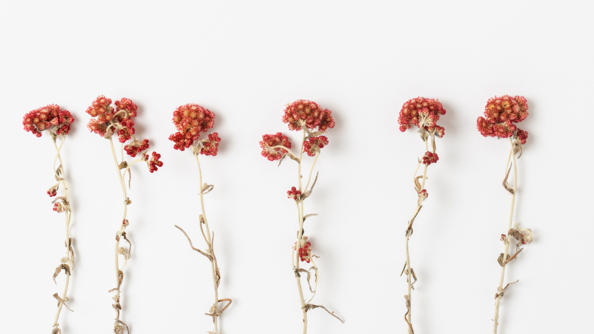 Go with the Flow: Embracing your menstrual cycle