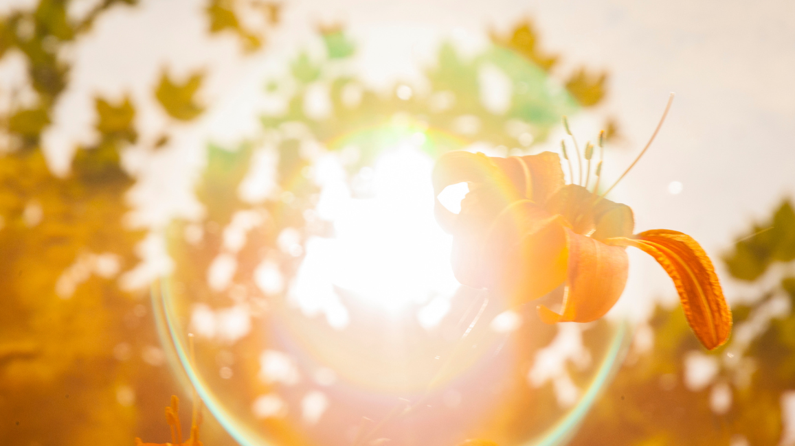 Why the SAD face? You’re not alone