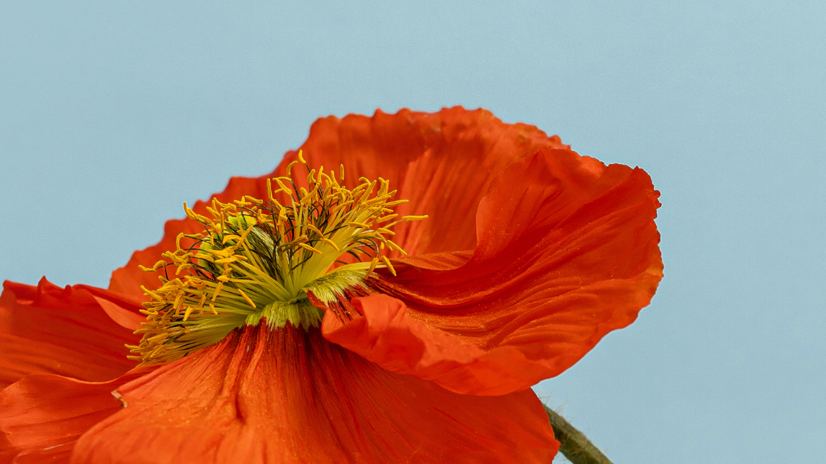 How your cycle shapes mood, focus & energy