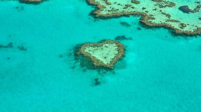 The benefits of prebiotics and probiotics