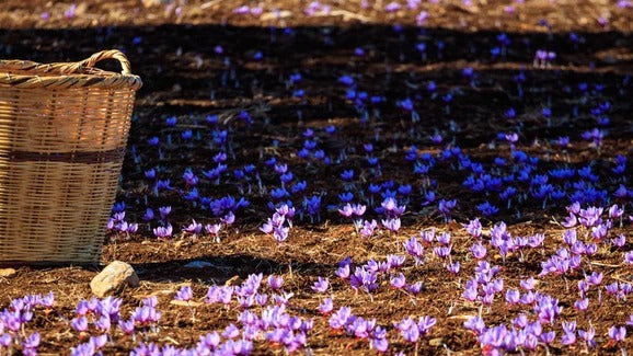 Vitamins: Natural or synthetic?