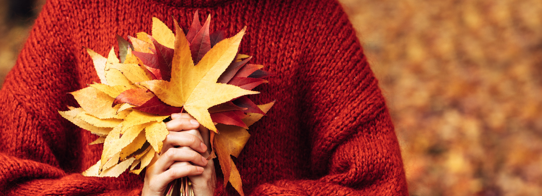The Winter Arc: strengthen your immunity and wellbeing for the colder months
