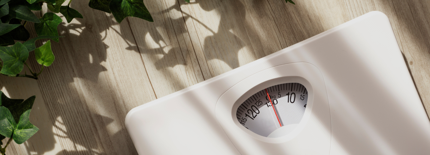 Beyond the calories: Why willpower doesn’t work for weight-loss battle – and what does