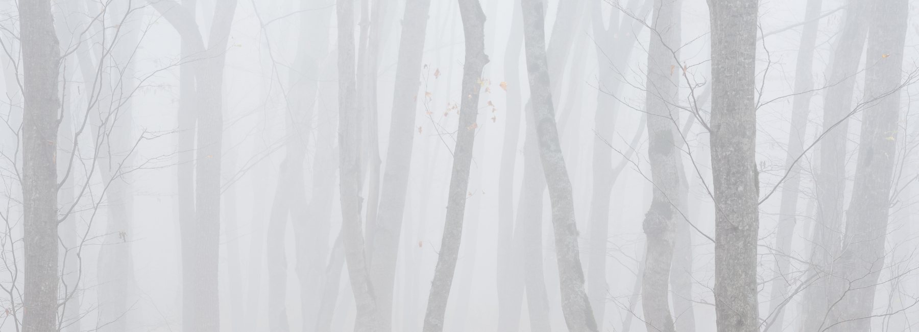 Menopause brain fog: why it happens and how to clear it