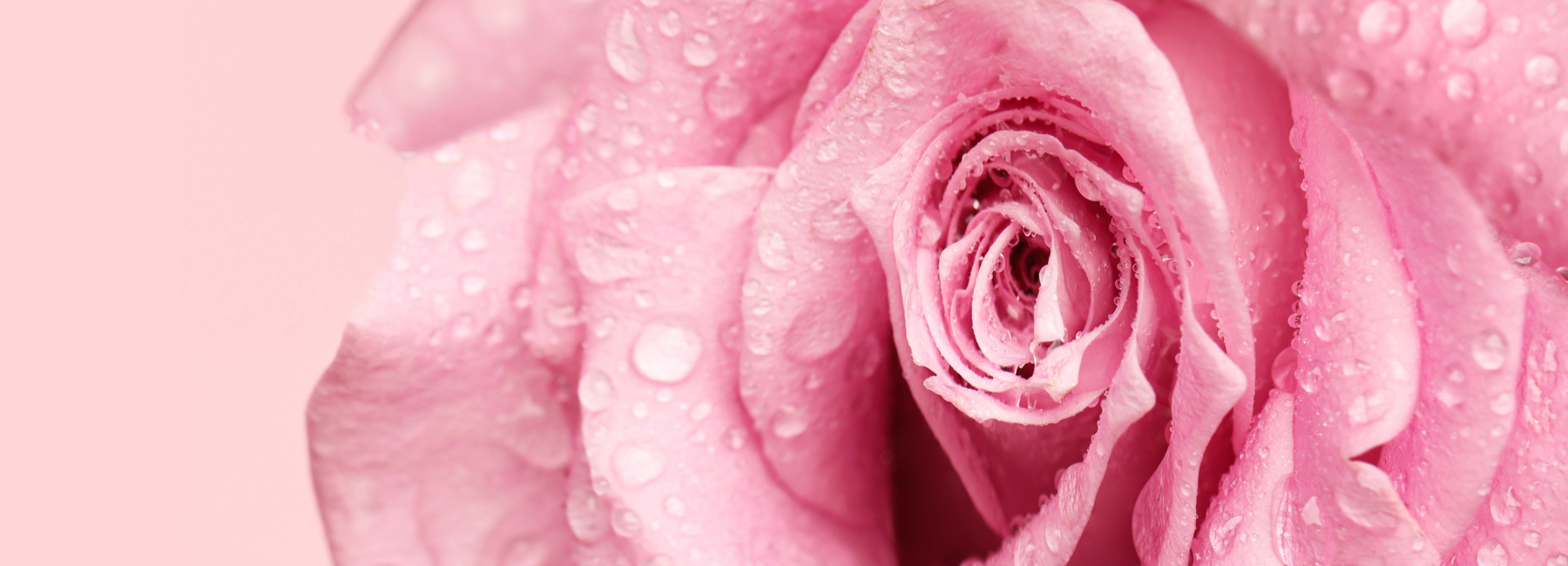 Gut Love: The Probiotic That Looks After More Than Your Gut