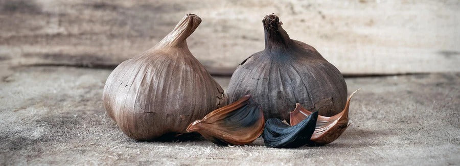 Black Garlic — All you need to know