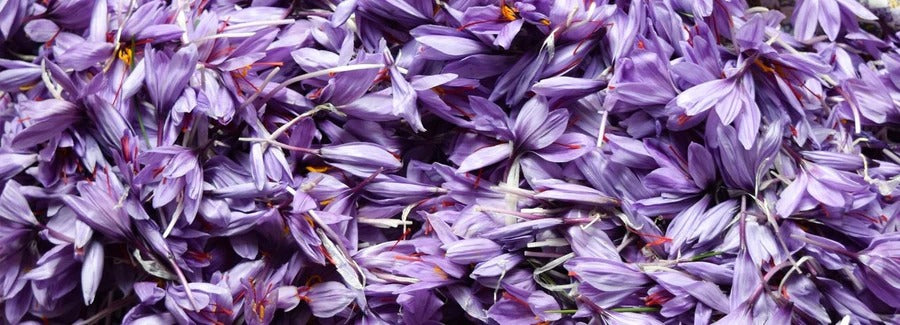 Saffron — Add More Spice To Your Life