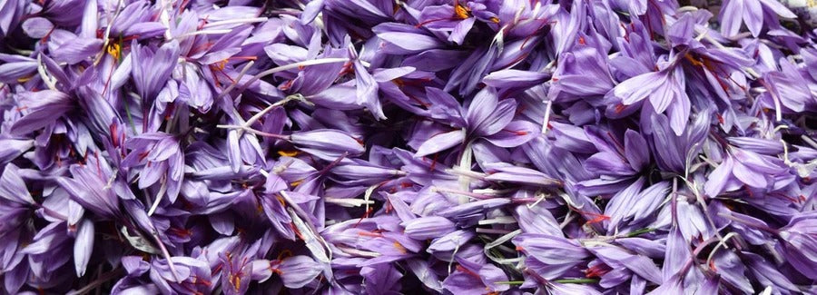 Saffron — Add more spice to your life