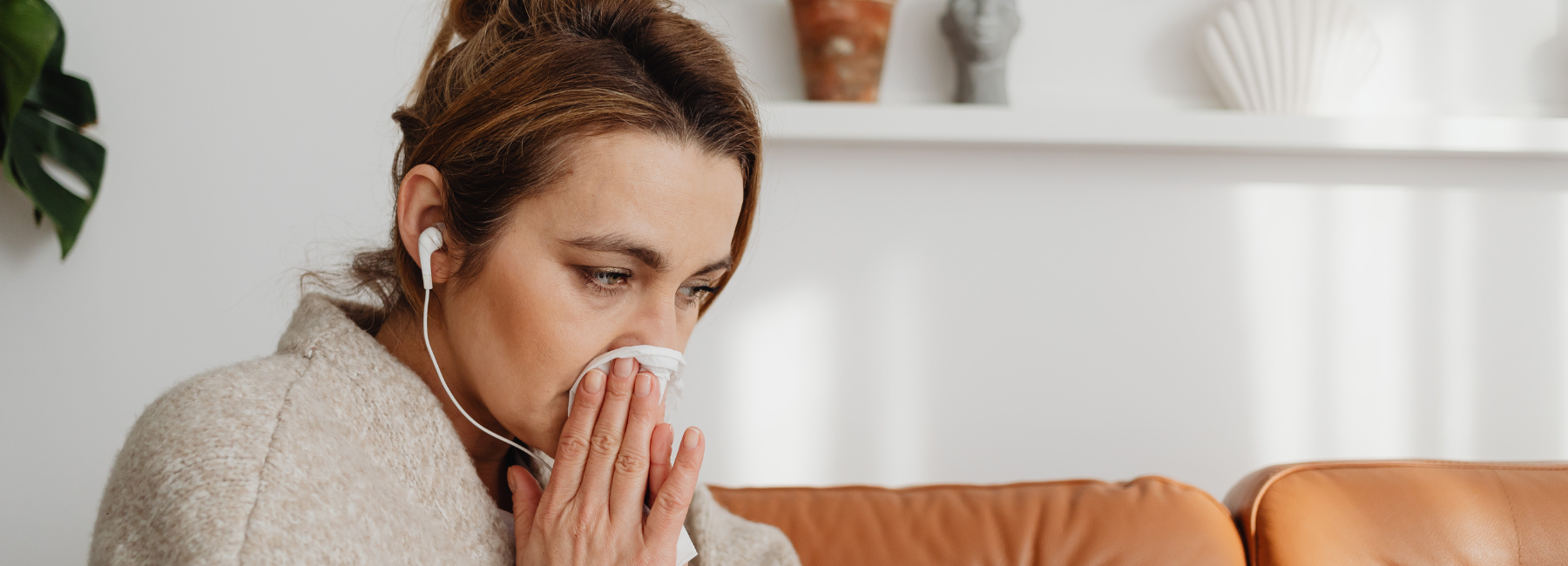 Immunity — Olive Leaf, Black Garlic with Vitamin D and Immune Hero