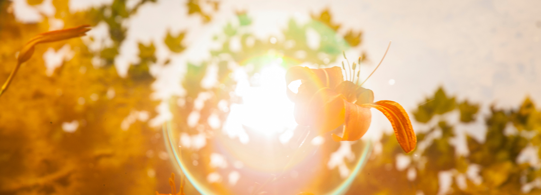 Why the SAD face? You’re not alone