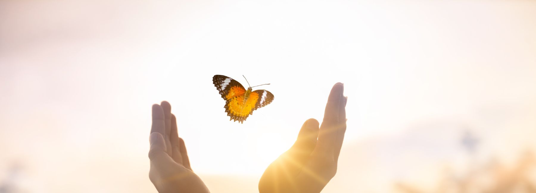 From fatigue to weight changes: Signs your thyroid might be overactive or underactive