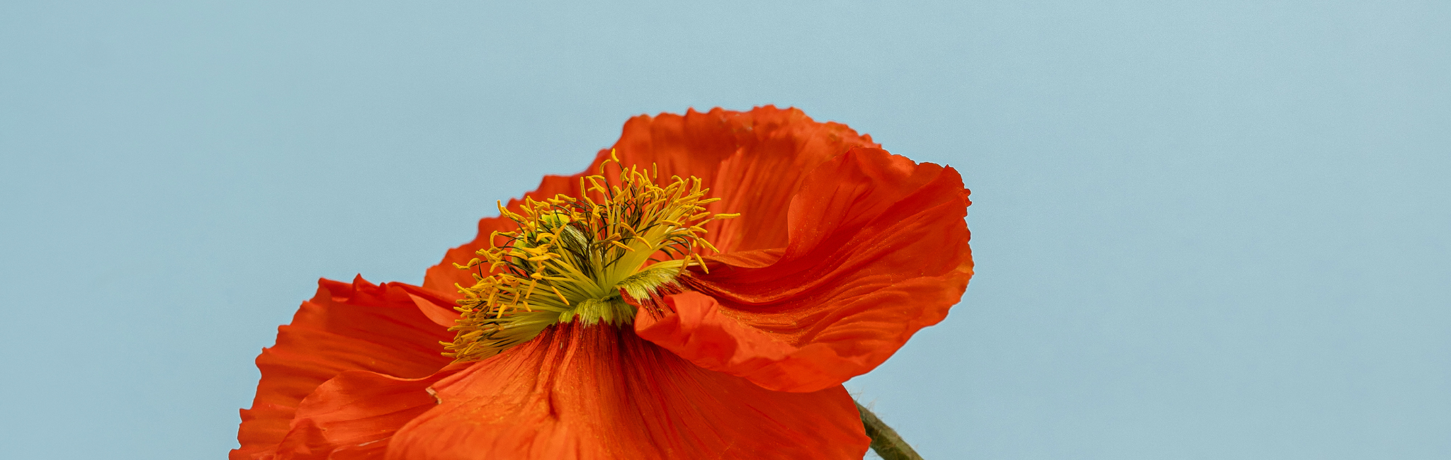 How your cycle shapes mood, focus & energy