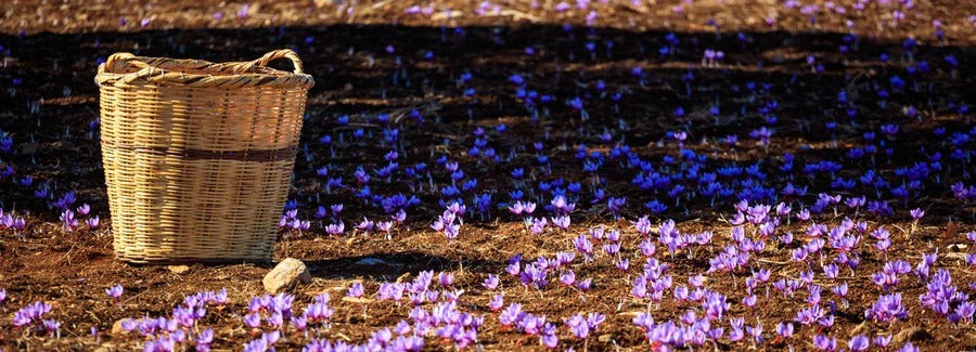 Vitamins: Natural or synthetic?