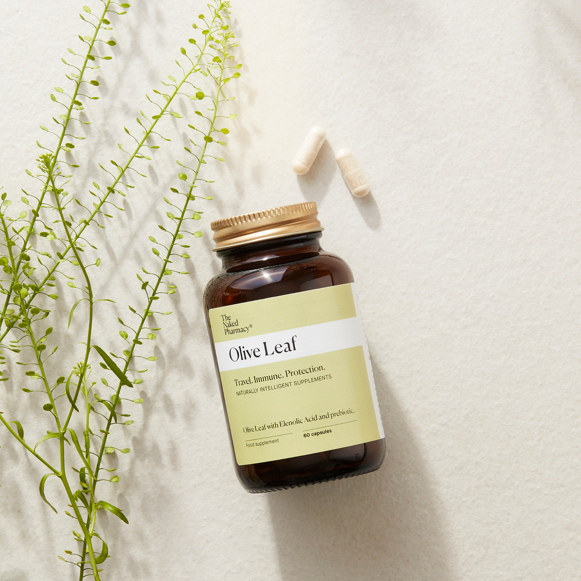 Leaf Extract – Natural Immune Support & Recovery 60 Capsules