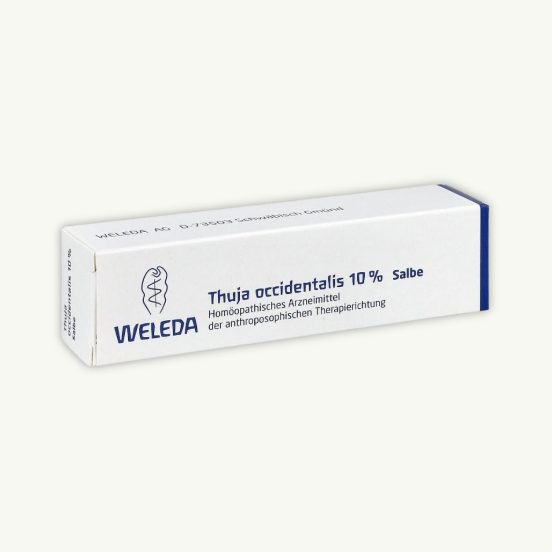 Thuja Ointment 10% – Wart & Corn Treatment